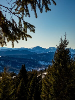 Wielki Rozsutec z Hali Rysianki