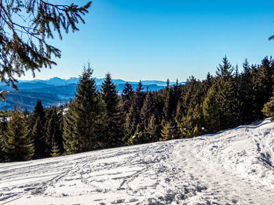Niebiesko-zielono-żółty szlak w kierunku Hali Lipowskiej z Hali Rysianki