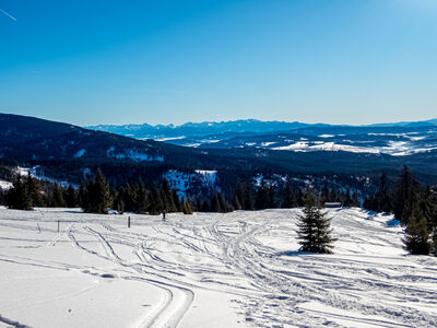 Tatry z Hali Rysianki
