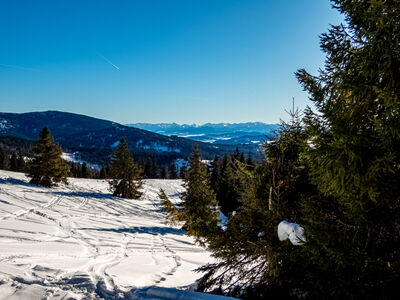 Tatry z Hali Rysianki