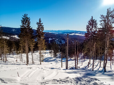 Tatry z niebiesko-zielono-żółtego szlaku na Halę Lipowską