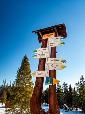 Hala Lipowska 1324 m n.p.m.