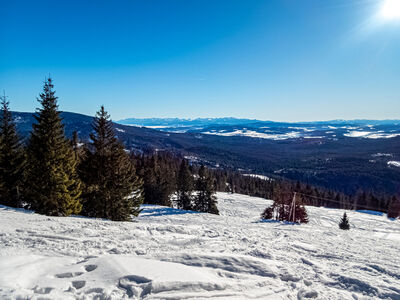 Tatry z Hali Lipowskiej