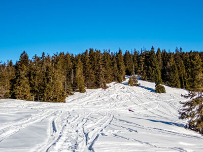 Lipowski Wierch z Hali Bieguńskiej