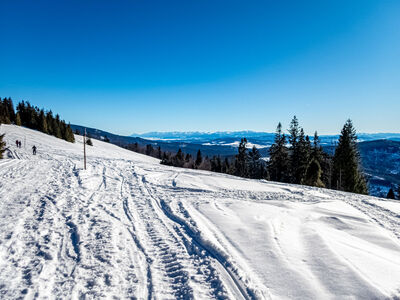 Tatry z Hali Bieguńskiej