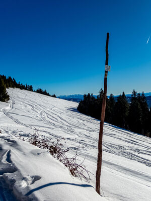 Hala Bacmańska z Tatrami w tle