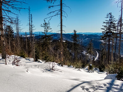 Żółty szlak tuż pod Redykalnym Wierchem