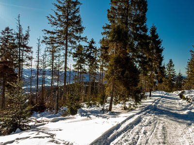 Żółty szlak tuż pod Redykalnym Wierchem