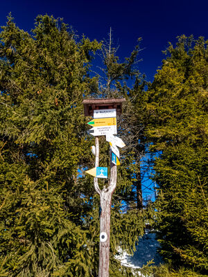 Hala Redykalna 1060 m n.p.m.