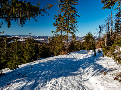 Czarny szlak z Hali Redykalnej