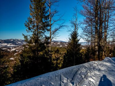 Czarny szlak z Hali Redykalnej