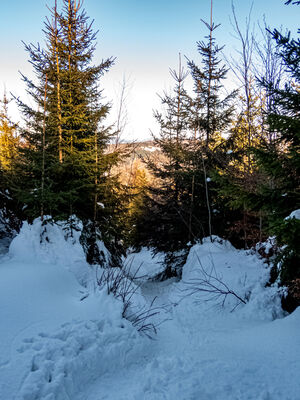 Czarny szlak na wysokości ok. 990 m n.p.m.