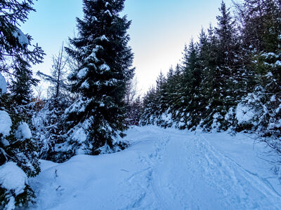 Czarny szlak z Hali Boraczej