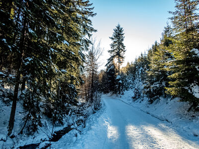 Czarny szlak wzdłuż ulicy Boraczej