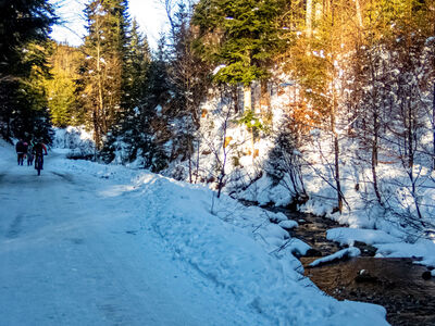 Czarny szlak wzdłuż ulicy Boraczej i potoku Studziańskiego