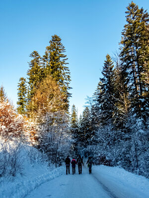 Czarny szlak wzdłuż ulicy Boraczej