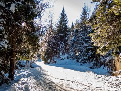 Czarny szlak wzdłuż ulicy Boraczej
