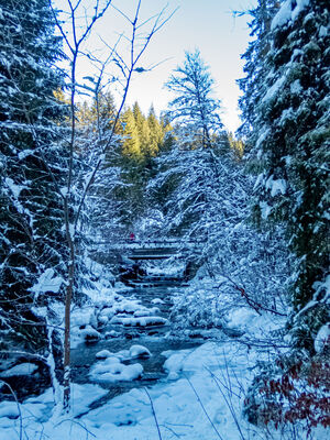 Żabniczanka przy parkingu Żabnica Skałka