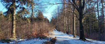 Skrzyżowanie szlaków niebieski / żółty