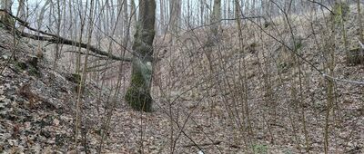 Nietków, droga na Leśniów