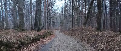 Góra Chrobrego, Droga Krzyżowa ↔ Rezerwat Las Bukowy