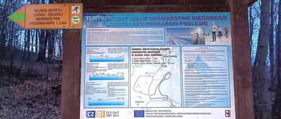 Rezerwat Las Bukowy ↔ Głuchołazy-Zdrój, al. Jana Pawła II