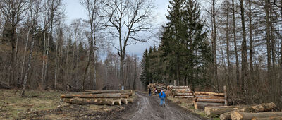 Rozejście szlaków