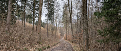 Rozejście szlaków ↔ Rozejście szlaków