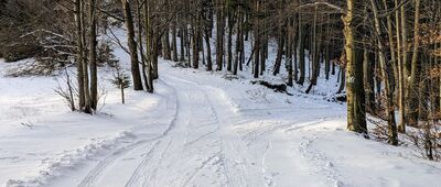 Przełęcz Bukowska, odejście szlaku niebieskiego [Beskid Mały - na Przełęczy Bukowskiej]