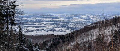 Przełęcz Bukowska ↔ Złota Górka [Beskid Mały - widok z Porębskiego Gronia w kierunku północym]