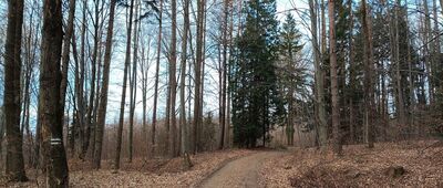 Pod Kwarcową Górą ↔ Kamieniołom starożytny