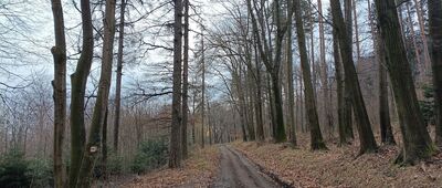 Rozejście szlaków ↔ Rozejście szlaków