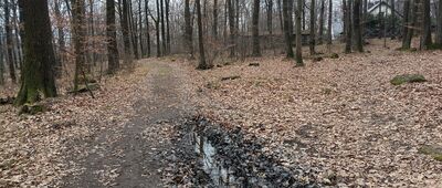 Średniowieczny Staw Kulturowy ↔ Będkowice, skansen, wiata