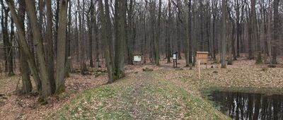 Średniowieczny Staw Kulturowy