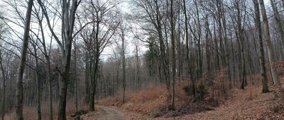 Rozejście szlaków
