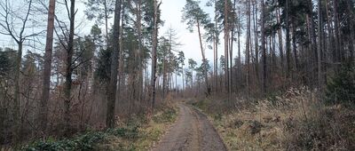 Rozejście ścieżek ↔ Rozejście szlaków