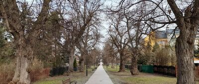 Sandomierz, rzeka Wisła ↔ Tarnobrzeg, Muzeum Przemysłu Siarkowego [Tarnobrzeg. Aleja Lipowa. Same pomniki przyrody]