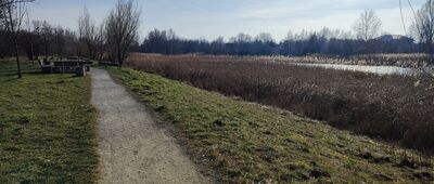 Jeziorki Polskie ↔ Warszawa, ul. Jagielska [Jezioro Zgorzała]