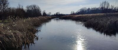 Jeziorki Polskie ↔ Warszawa, ul. Jagielska [Jezioro Zgorzała]