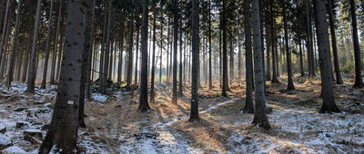 Skrzyżowanie szlaków