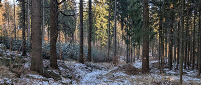 Skrzyżowanie szlaków