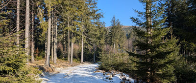 Bezdroże pod Bielcem ↔ Przełęcz Rudawska