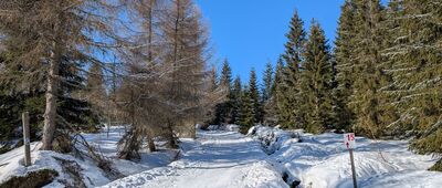 Rozdroże pod Cichą Równią