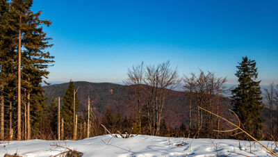 Śnieżnica z niebieskiego szlaku pod Ćwilinem
