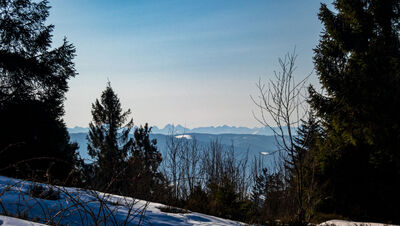 Tatry widziane z rozejścia szlaków pod Ćwilinem
