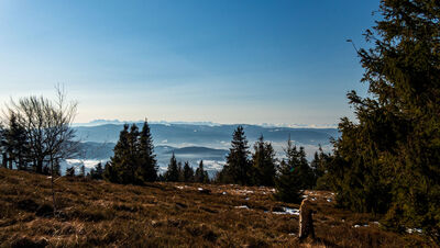 Panorama Tatr z Polany Michurowej pod Ćwilinem