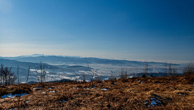 Panorama Tatr z Ćwilina