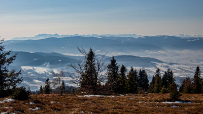 Panorama Tatr spod Ćwilina