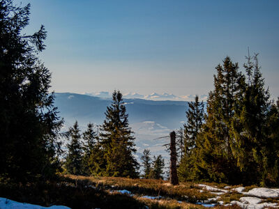 Tatry Zachodnie z niebieskiego szlaku pod Ćwilinem