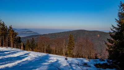Śnieżnica z niebieskiego szlaku pod Ćwilinem